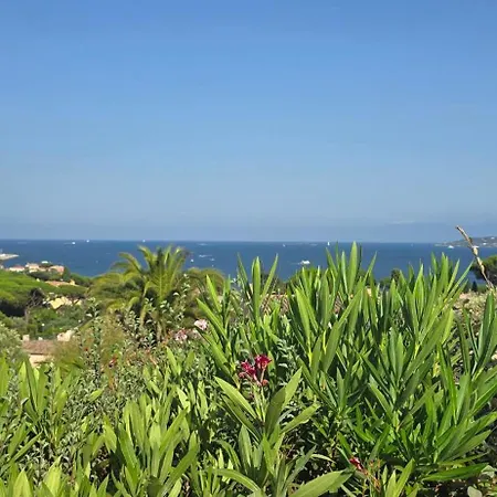 Appartement With Sea View Terrace And Shared Pool
