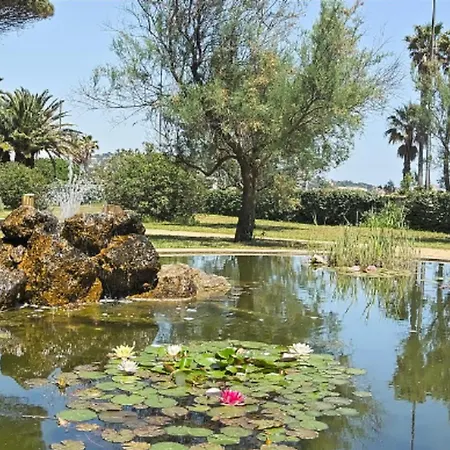 With Sea View Terrace And Shared Pool * Sainte-Maxime